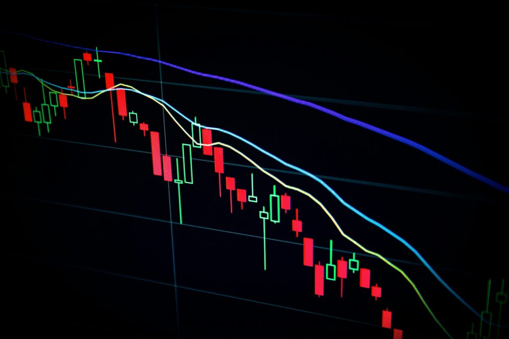 bear market investing strategy